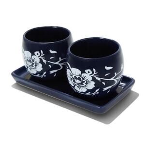 Summer & Rose Ceramic Herb Planter Set w Tray Indoor Outdoor Kitchen Windowsill